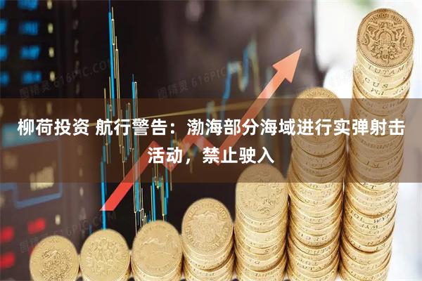 柳荷投资 航行警告：渤海部分海域进行实弹射击活动，禁止驶入
