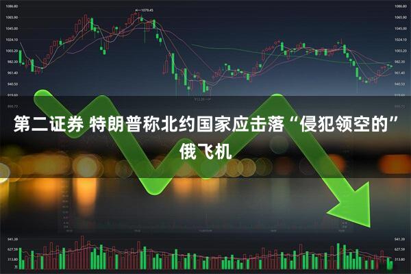 第二证券 特朗普称北约国家应击落“侵犯领空的”俄飞机