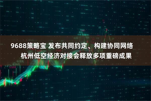 9688策略宝 发布共同约定、构建协同网络     杭州低空经济对接会释放多项重磅成果