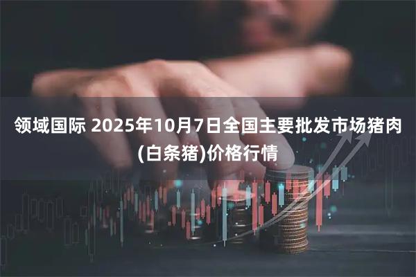 领域国际 2025年10月7日全国主要批发市场猪肉(白条猪)价格行情