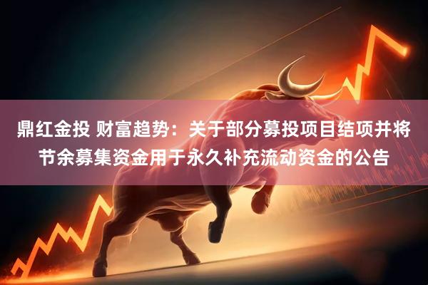 鼎红金投 财富趋势：关于部分募投项目结项并将节余募集资金用于永久补充流动资金的公告