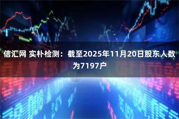 信汇网 实朴检测：截至2025年11月20日股东人数为7197户