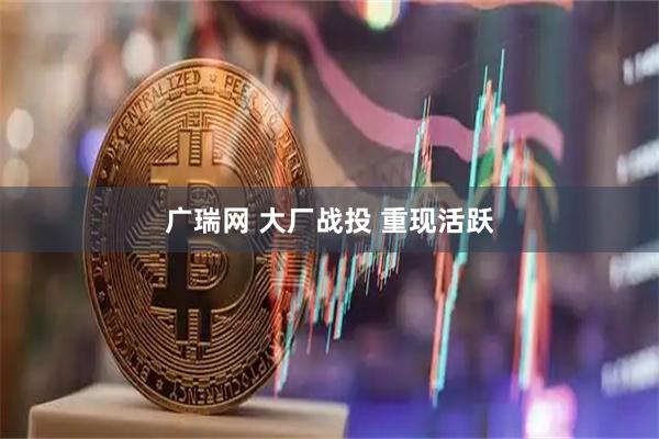 广瑞网 大厂战投 重现活跃