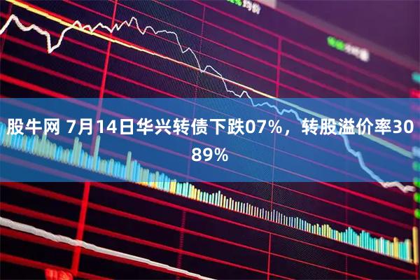 股牛网 7月14日华兴转债下跌07%，转股溢价率3089%