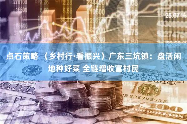 点石策略 （乡村行·看振兴）广东三坑镇：盘活闲地种好菜 全链增收富村民
